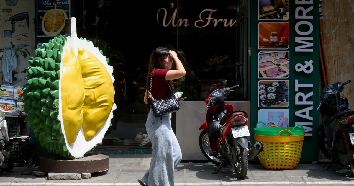 Vietnam nears 10% growth as economy surges; posts trade surplus - The Business Times
