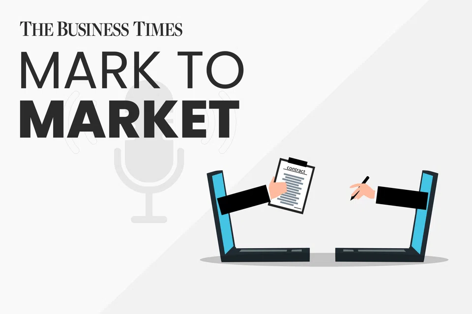 What can investors do about lowball offers which a well-known loophole allows major shareholders?