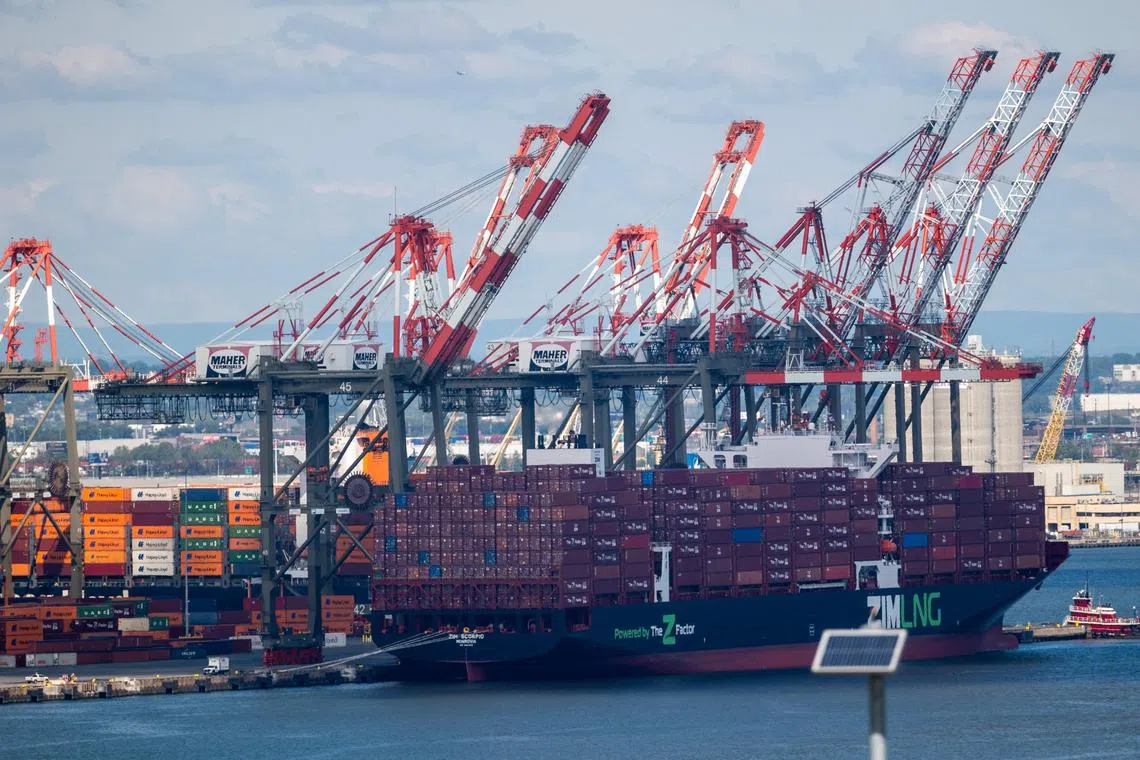 OECD says the likely economic slowdown will cost the United States more than the extra income the tariffs are supposed to generate.