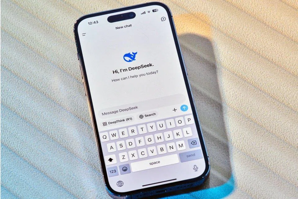 Many Western and some Asian governments have banned their institutions and officials from using DeepSeek, citing data privacy concerns. 