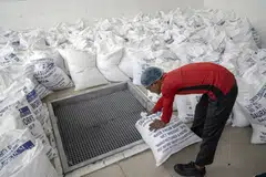 India has no plans to curb food exports for now, Piyush Goyal, the Minister for Commerce and Industry, Consumer Affairs and Food and Public Distribution said on Friday, weeks after New Delhi banned private wheat exports.