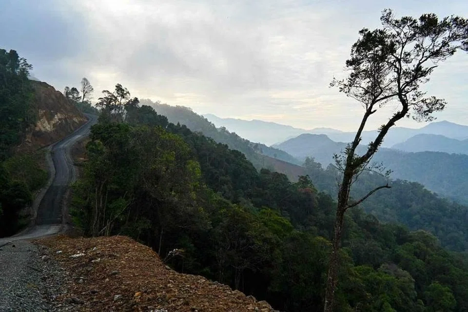 While Indonesia is not short on opportunities and ambition for decarbonisation, where it lacks is affordable financing, says its Coordinating Minister of Maritime and Investment Affairs Luhut Binsar Pandjaitanhe. 