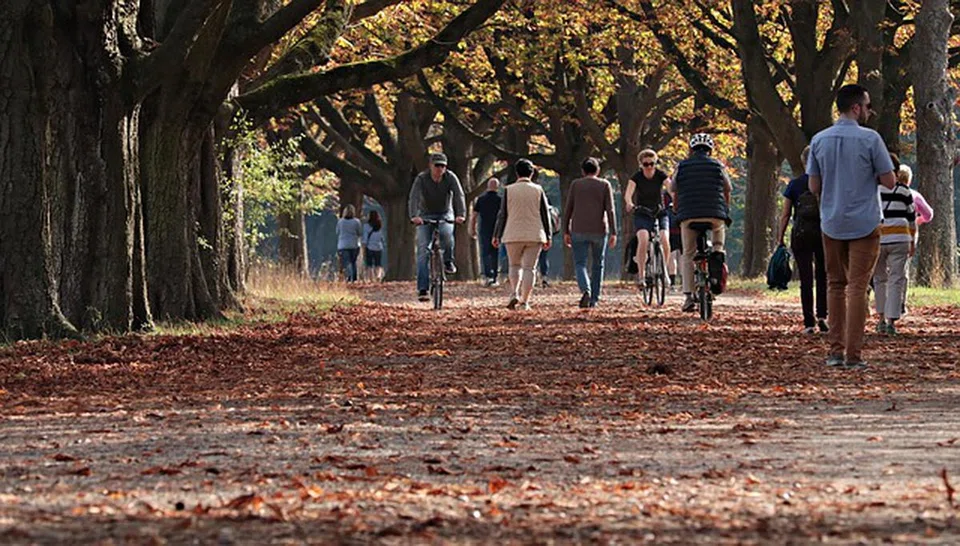 A study found that participants who walked through a park chose healthier food than those who had taken an urban walk.