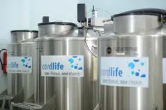 Cordlife is serving a six-month suspension from collecting, testing, processing and/or storing new cord blood and human tissue. 