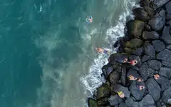 Scientists estimate around 30% of the carbon dioxide released by humans is absorbed by the oceans, playing a crucial role in climate regulation and reducing the rate of global warming.