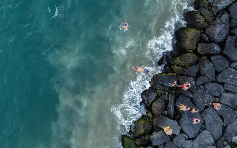 Scientists estimate around 30% of the carbon dioxide released by humans is absorbed by the oceans, playing a crucial role in climate regulation and reducing the rate of global warming.