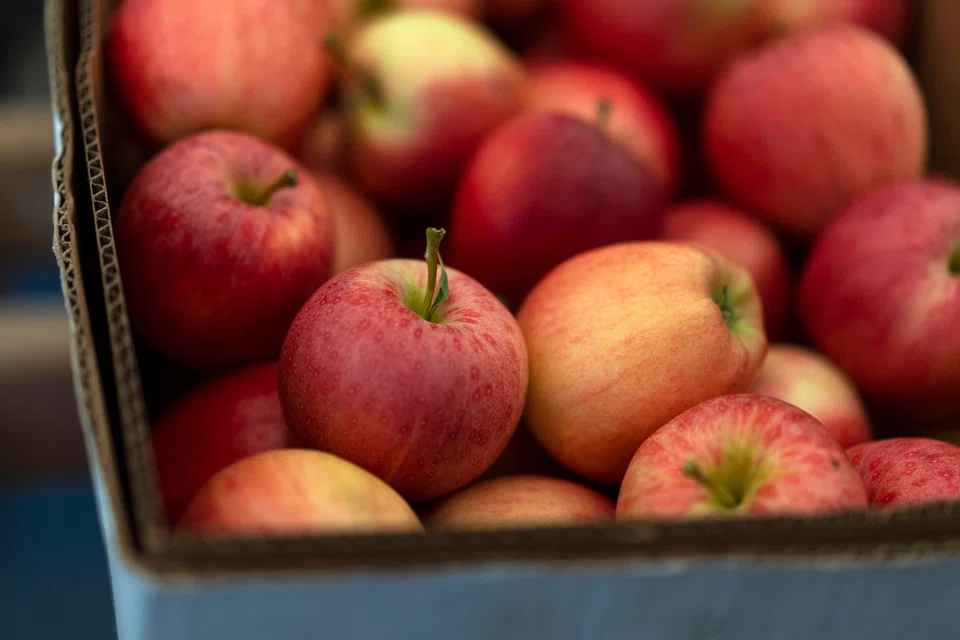 Brian Frange believes that it’s unfair to rank an apple based on trying it once from only one season. Instead, he buys two batches of apples a season apart. “You need the cycles,” he said.