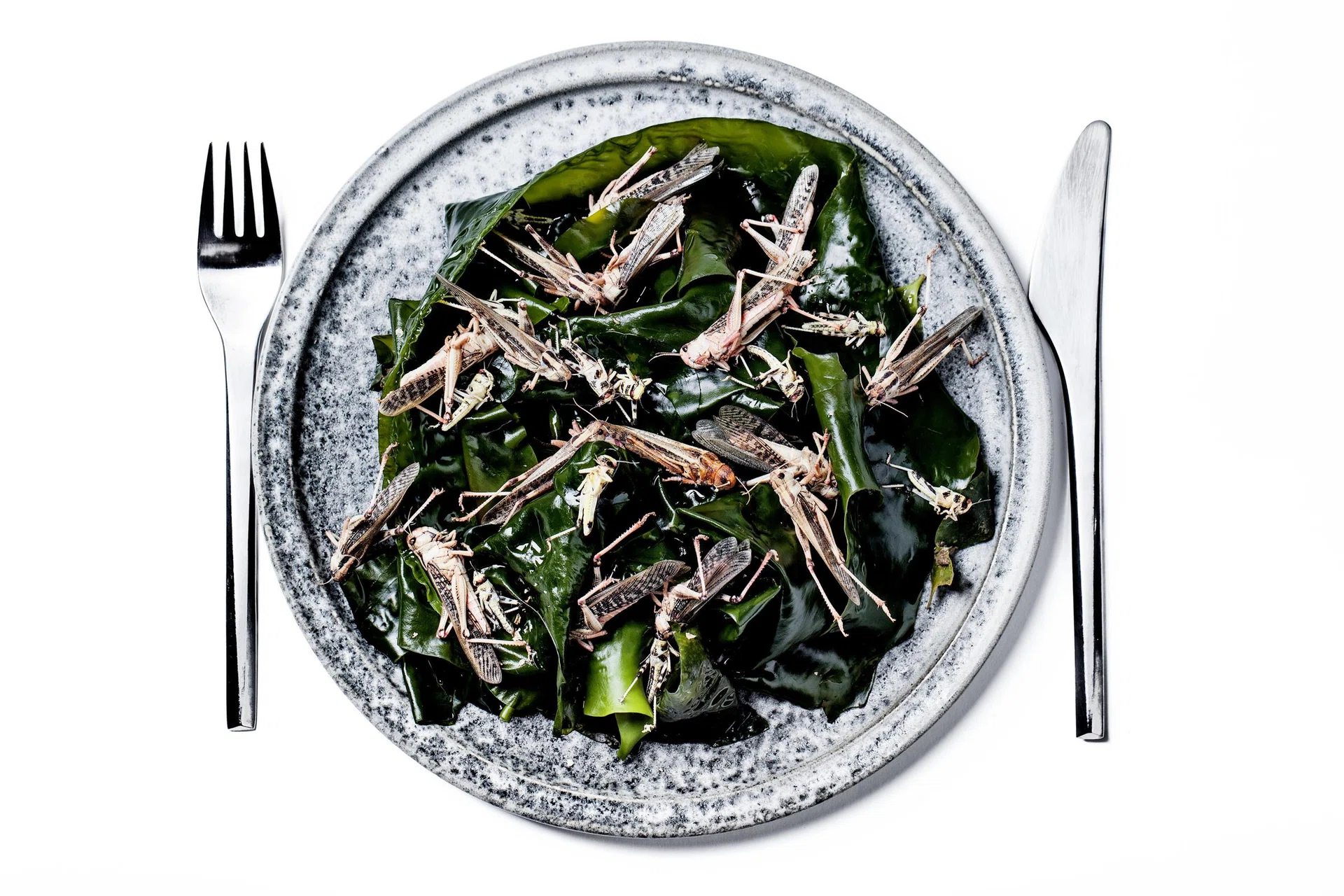 Edible insects: Critical to have measures against 'inadvertent ...