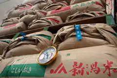 Japan's government will sell 300,000 metric tons of stockpiled rice via discretionary contracts to retailers, the farm ministry said.
