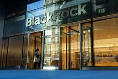 Dutch pension funds have been under pressure from a local nonprofit, Fossil Free Netherlands, to end their ties with BlackRock.