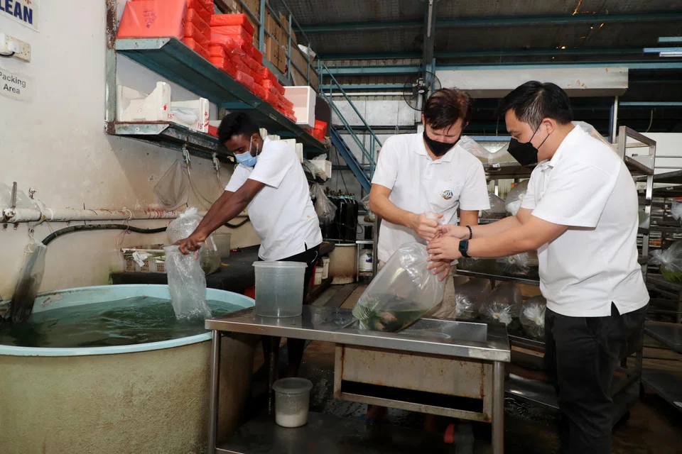 Loss per share for the half year stood at 8.2 Singapore cents, compared to earnings per share of 0.51 cent a year ago.