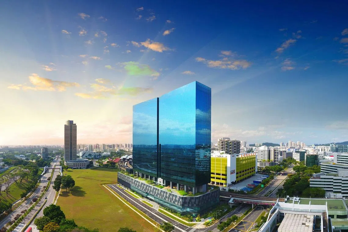 Harnessing the potential of a new CBD