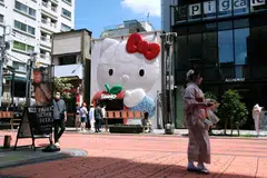 Sanrio has been working to broaden revenue streams for its characters, including expansion into film. 