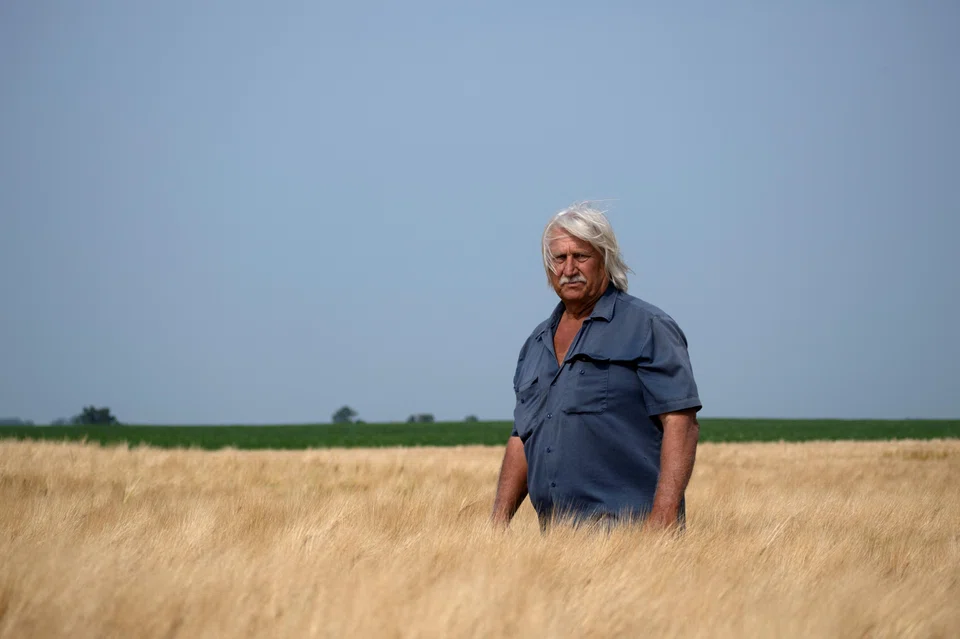 This year, Don Nygaard received no lucrative contracts from Minnesota-based Rahr or any beer makers, so his sprawling farm is growing food-grade barley and wheat, both crops that are priced near four-year lows.