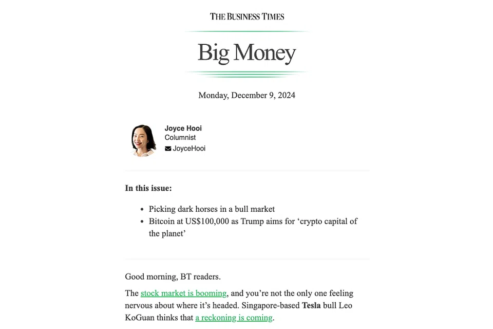 If you haven’t gotten in on any of the Magnificent Seven US megacap stocks, don’t despair even if the basket of stocks has advanced 60 per cent this year, writes BT columnist Joyce Hooi.
