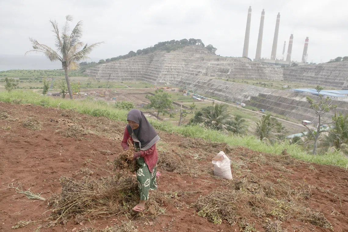 Current policy debates on public debt sustainability do not take into account the long-term positive socio-economic and environmental impact of public investments in laying the foundations of inclusive, resilient and sustainable prosperity. 