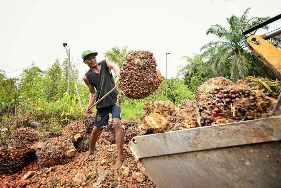 Palm oil producer First Resources' H2 sales rise 9.4% to US$581.5 million, on the back of stronger palm oil prices.