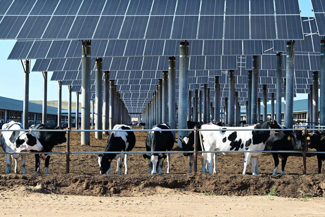 The Asia-Pacific region accounts for a majority of global greenhouse gas emissions but it also contributes significantly to low-carbon and green innovation.