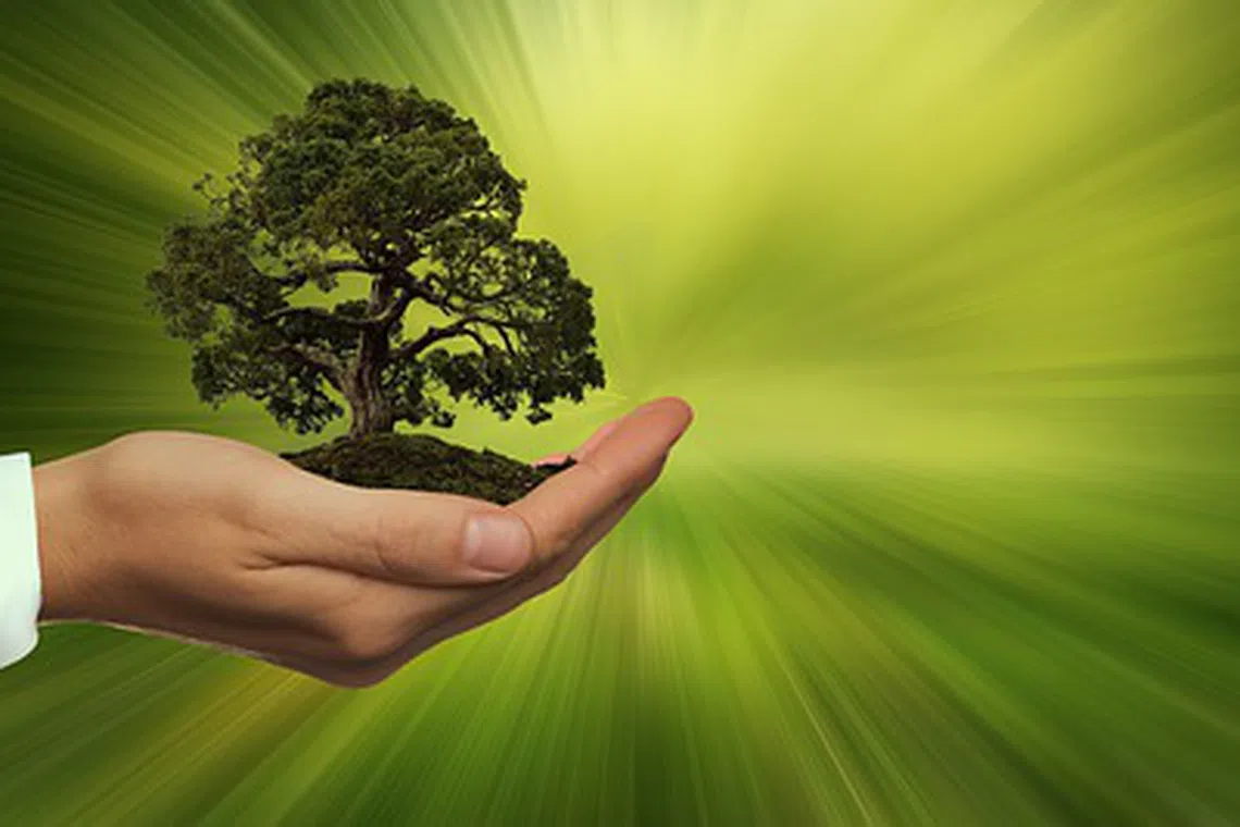 Companies that embrace a coherent ESG strategy and demonstrate tangible success may also benefit from lower cost of capital, given a mismatch between the growing amount of investment dollars looking for genuine ESG leaders and the limited supply of these companies.