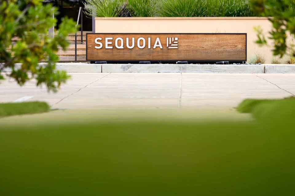 Shen’s shift in residency comes before the split of VC firm Sequoia Capital, which was announced in June 2023.