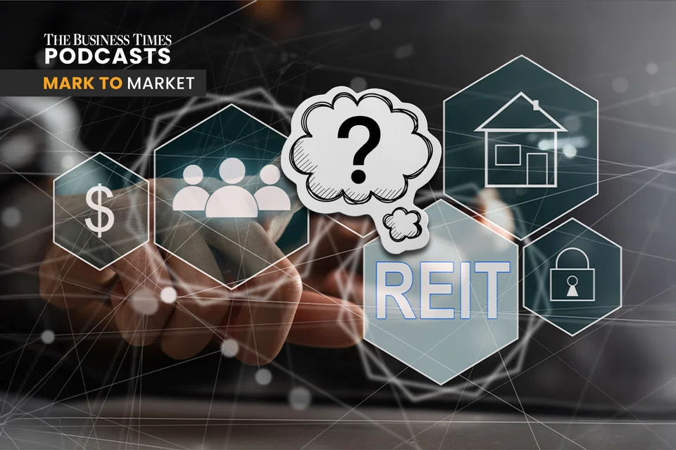 What is the outlook for Reits and property trusts sector in 2024?
