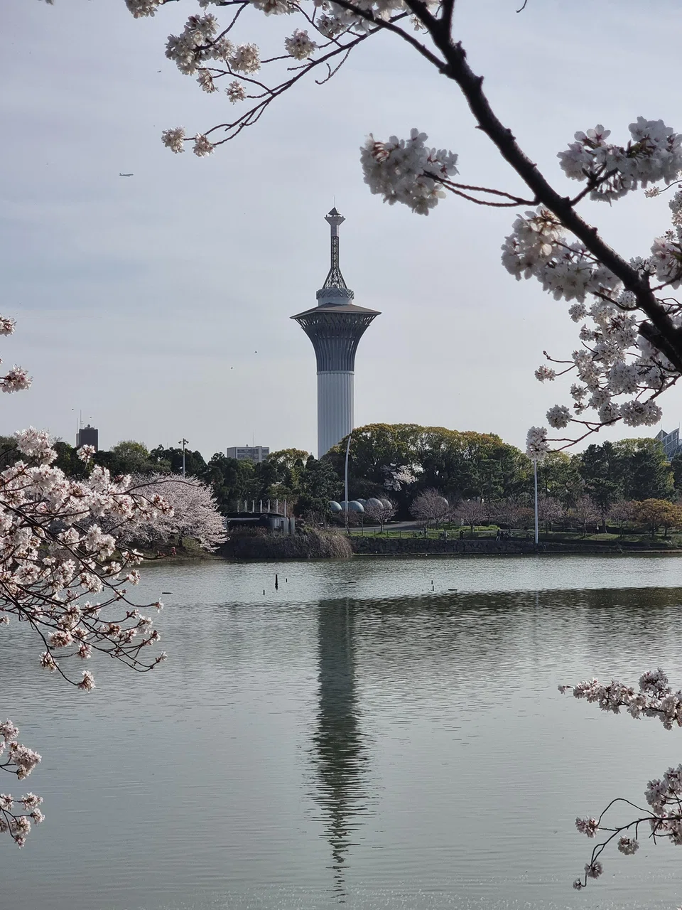 A view from Tsurumi Ryokuchi Park.