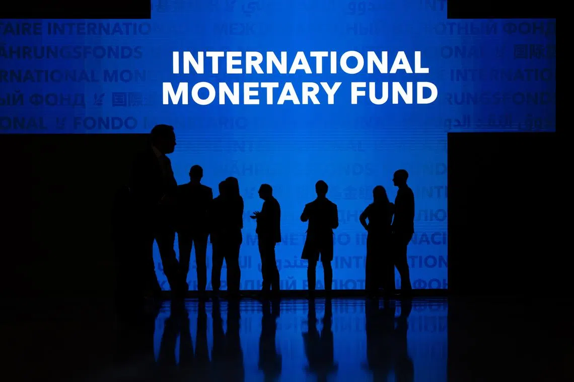 The IMF offers various precautionary lending instruments, including its flexible credit line and a short-term liquidity line.