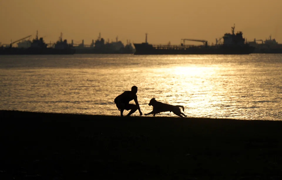 The Coastal and Flood Protection Fund was first announced in Budget 2020, with an initial injection of S$5 billion.