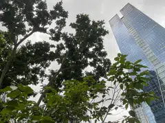 The StanChart report, titled “The Sustainability Commitment Paradox”, says that in reality, companies believe that what is good for the planet and good for business are not mutually exclusive. 