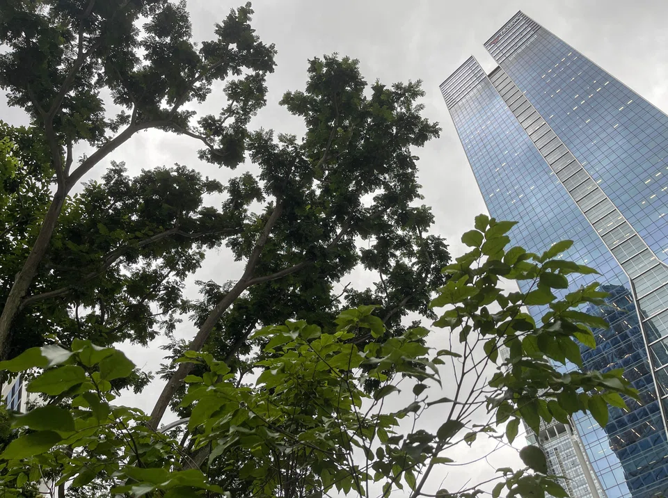 Singapore can leverage its deep network of investors – including pro-impact investing family offices – and emerging technology capabilities to contribute to regional impact investing.