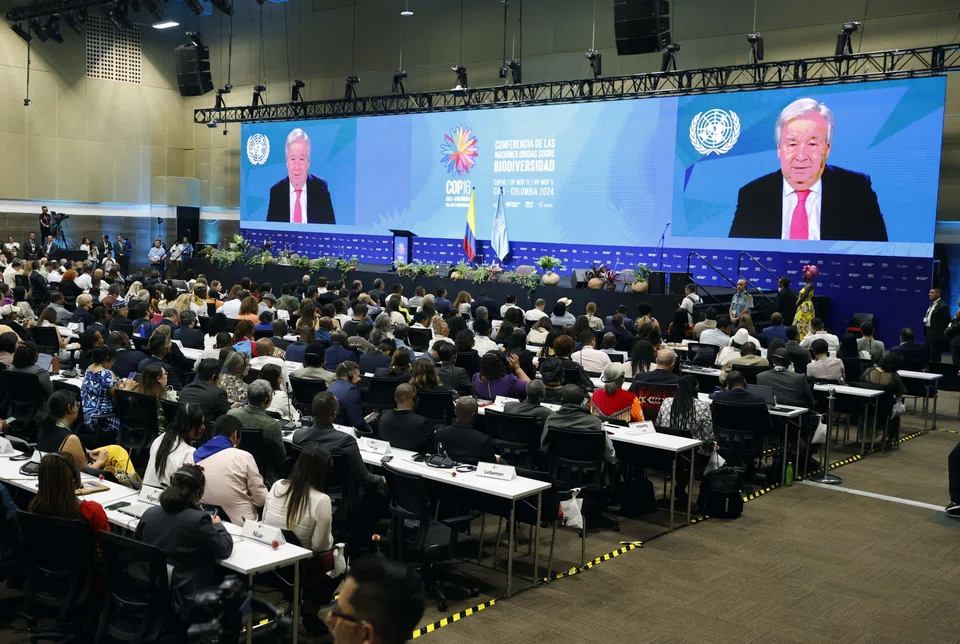 Attendees watch a video from the United Nations Secretary-General Antonio Guterres at the 2024 UN Biodiversity Conference (COP16) in Cali, Colombia, Oct 20, 2024. 