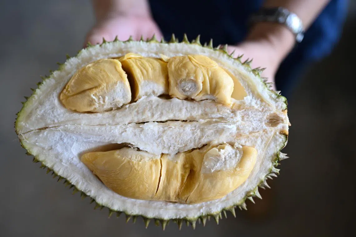 Nutryfarm’s subsidiary Global Agricapital Thailand (GAT) had entered into 2 settlement agreements amounting to a total of 33.4 million yuan in relation to shortfall of durians delivered.