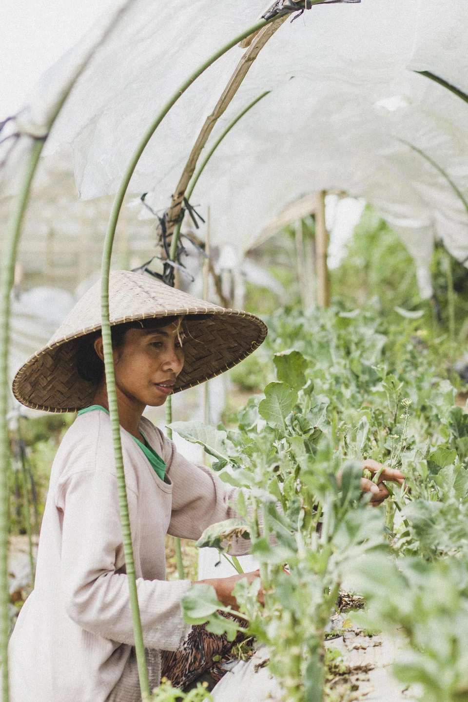 Desa Potato Head leads the way in sustainability practices.