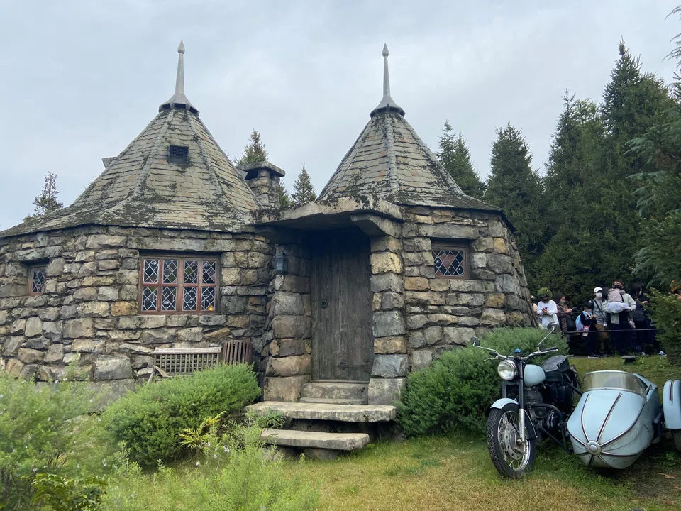 A realistic Hagrid's Cottage.