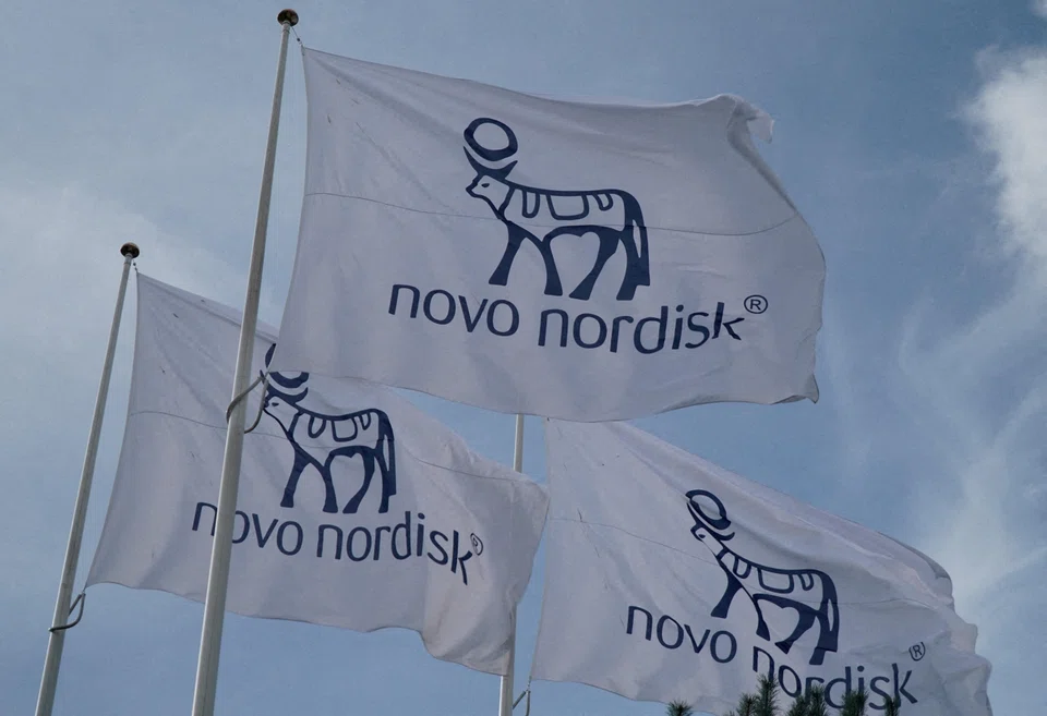 Novo Nordisk became Europe’s most valuable listed company last month, boosted by market enthusiasm for its Ozempic and Wegovy drugs.