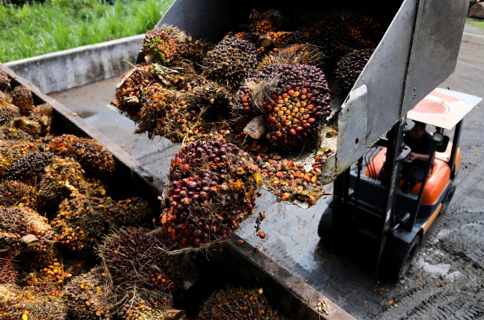 Prices plunged to their lowest in a year in recent weeks as Indonesia reversed an earlier decision to restrict exports.