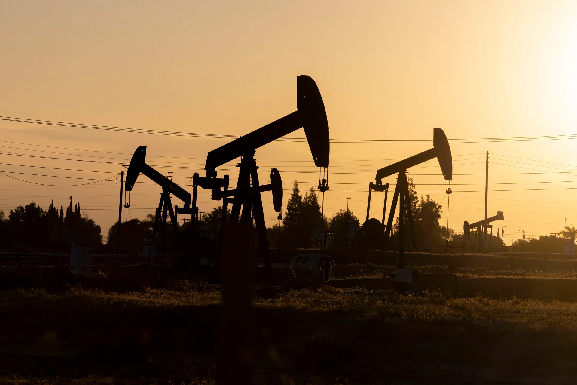 Oil prices steady despite Opec+ plans to pause output increases