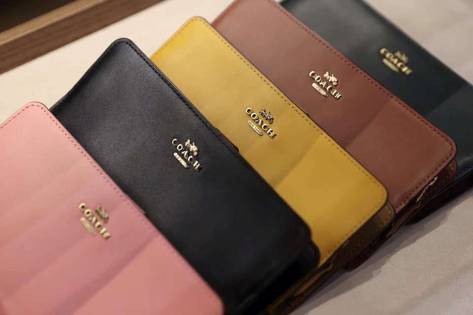 The acquisition, if approved, would give Tapestry an upscale portfolio with multiple brands focused on shoes and handbags, as well as a strengthened apparel offering with Versace and Kors, also a celeb favourite.