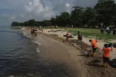 Workers engaged by National Environment Agency cleaning up the oil spill at the beach in East Coast Park on Jun 20. A Netherlands-flagged dredging boat hit a Singapore-flagged bunker vessel at Pasir Panjang Container Terminal on Jun 14, leaking 400 tonnes of fuel into the sea. 