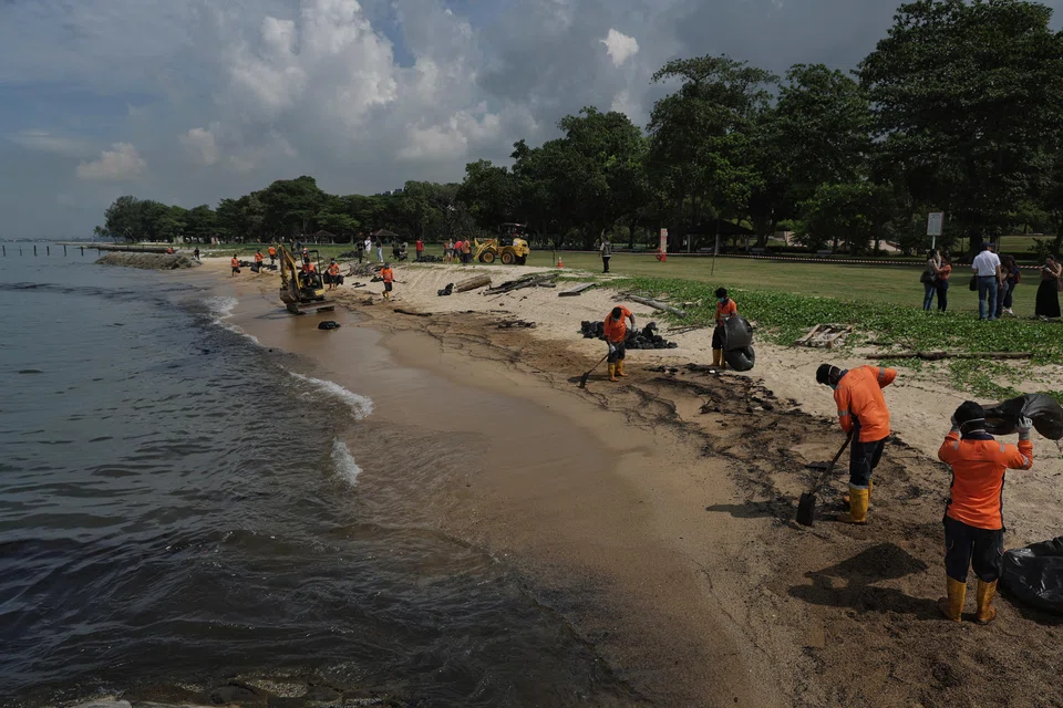 Workers engaged by National Environment Agency cleaning up the oil spill at the beach in East Coast Park on Jun 20. A Netherlands-flagged dredging boat hit a Singapore-flagged bunker vessel at Pasir Panjang Container Terminal on Jun 14, leaking 400 tonnes of fuel into the sea. 