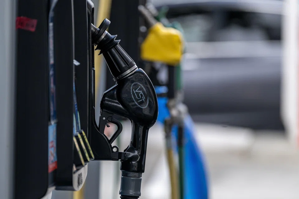 For a country like Singapore, higher oil and gas prices could provide greater impetus to diversify the fuel and energy mix.