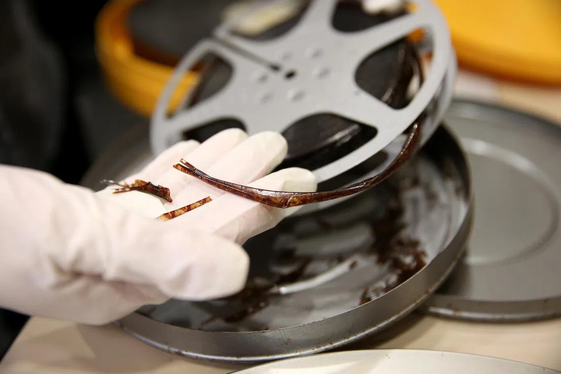 A reel of brittle 16mm film that has shrunk and warped; a film in this state can no longer be salvaged. Where the damage is less severe, the team of archivists from Asian Film Archive (AFA) might digitise or try restoring the print, which takes a huge amount of time and effort. 