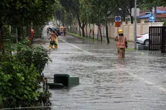The national adaptation plan will involve a comprehensive review of Singapore’s adaptation measures in key domains such as heat resilience, coastal and flood resilience, as well as water and food resilience. 