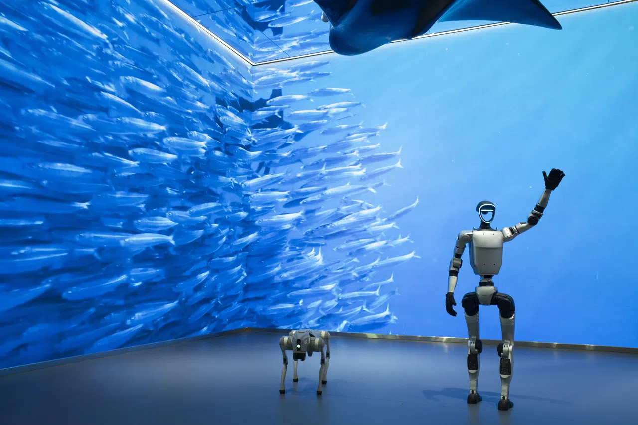 Robots at Beijing World of Robots. In one of two hypothetical scenarios, the report AI 2027 posits that the US uses superintelligent AI to rapidly industrialise, manufacturing robots. But once a sufficient number of robots have been built, the AI releases a bioweapon, killing all humans.