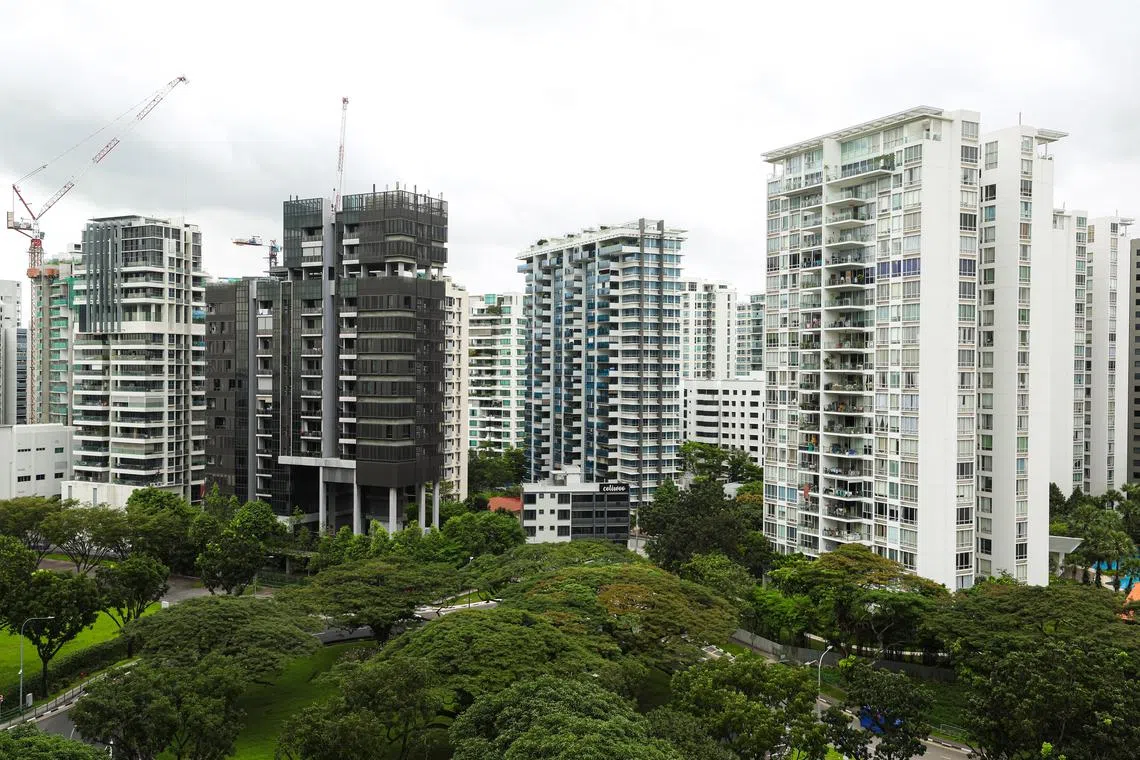 Given the prevailing scarcity of housing in the rental market, the probability of a further substantial decline in rents is minimal.