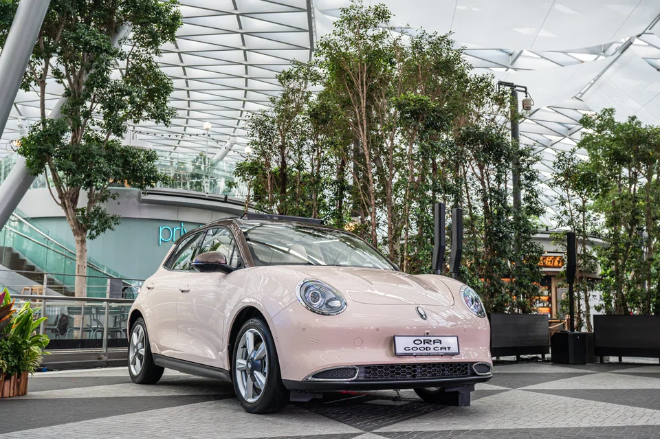 The Ora Good Cat is a stylish hatchback aimed at younger, design-conscious drivers.