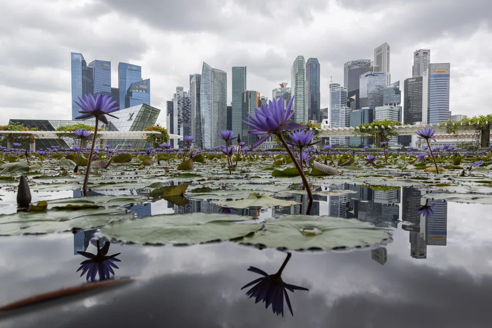 "The Budget will seek to underline that it is pro-business and that the government is a reliable partner in helping businesses grow," says Prof Eugene Tan of SMU. 