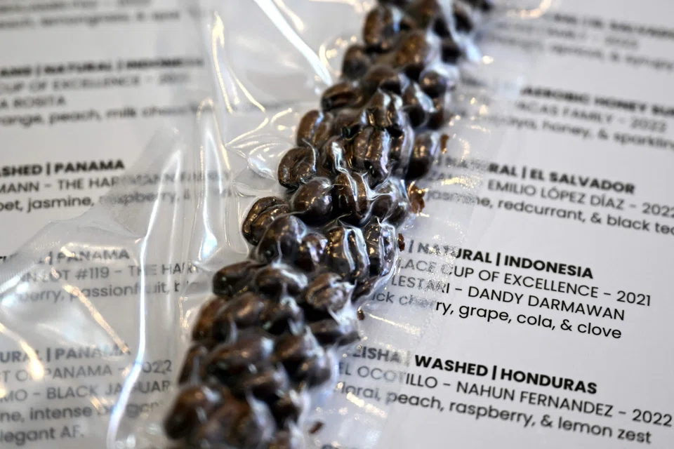 Dubbed “Black Jaguar”, the beans came first at the prestigious 2022 Best of Panama auction in the Natural Geisha category, scoring 96.5 out of 100.
