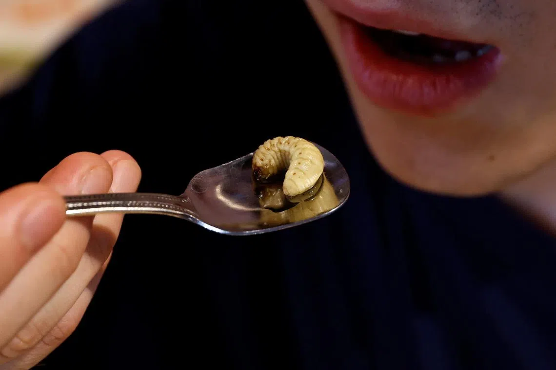 Those hoping that human entomophagy will lead to more sustainable global food systems should be careful what they wish for.