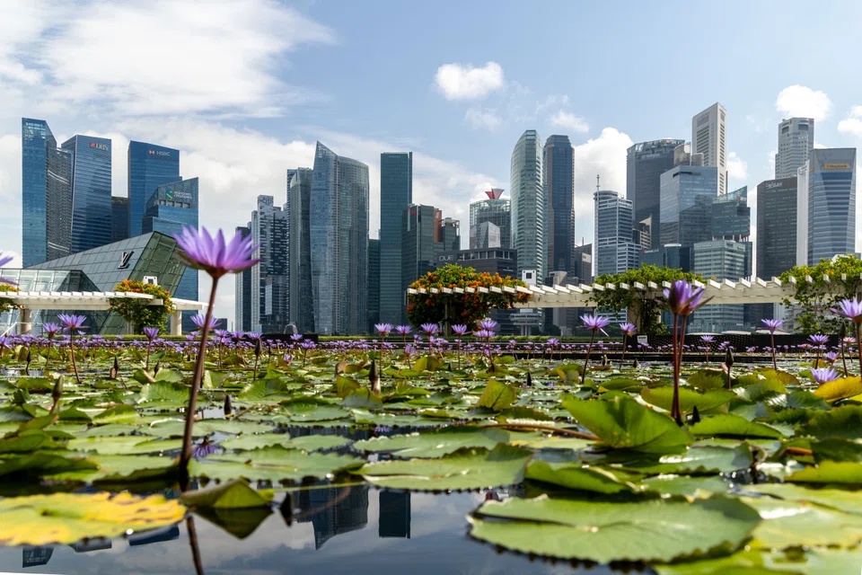 The main challenge faced in this journey “would be the inherent heterogeneity of Asia, stemming from its vast size and rich cultural diversity”, says the spokesperson of the group.